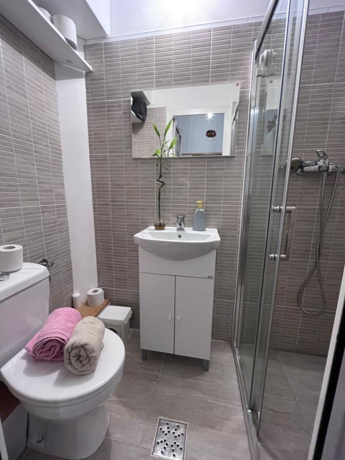 Downtown Apartment Timişoara Extérieur photo