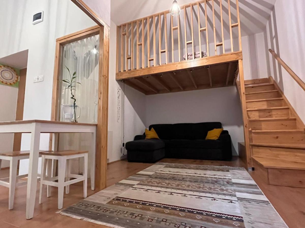 Downtown Apartment Timişoara Extérieur photo
